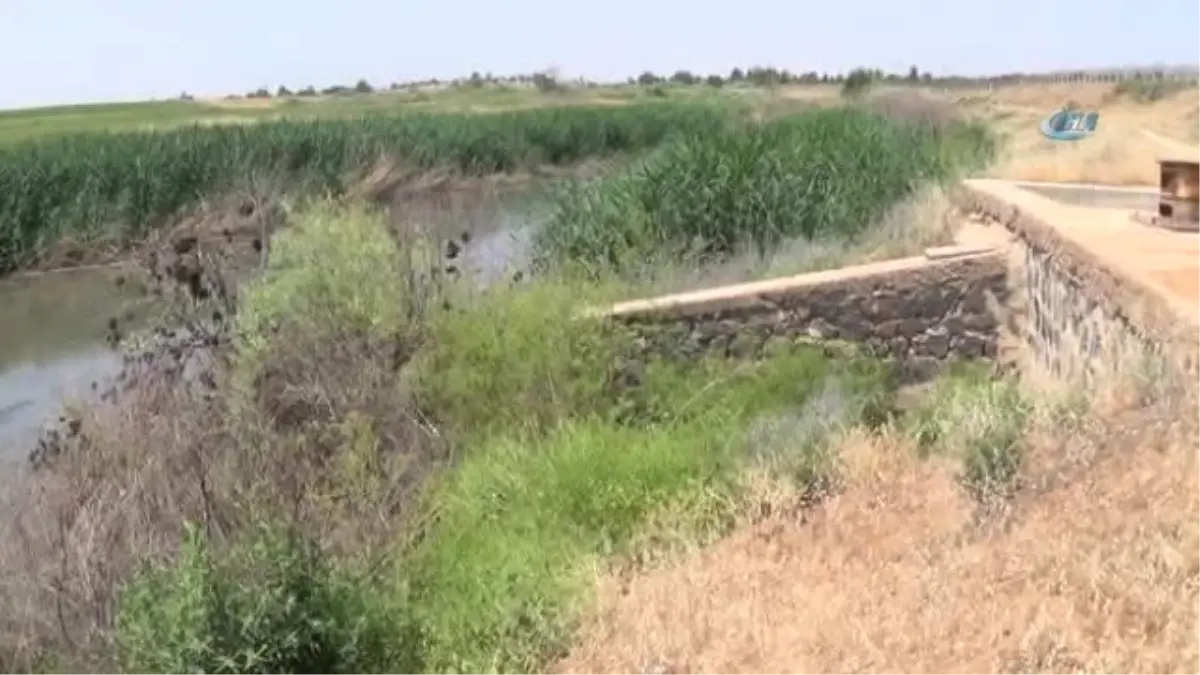 Suriye Sınırı Yakınındaki Kötü Kokunun Sebebi Bulundu