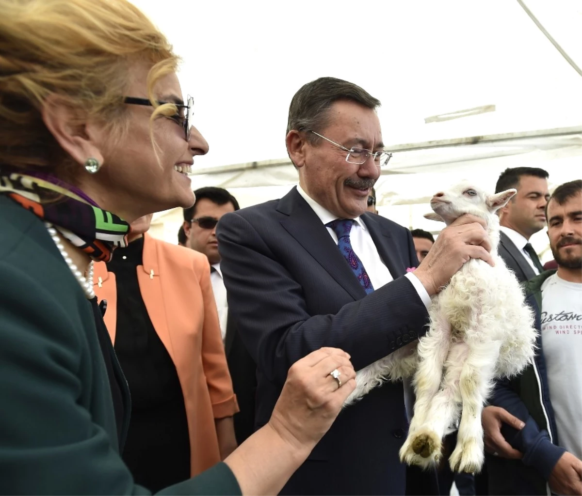 Türkiye\'nin İlk Çoban Fuarı Ankara\'da Açıldı