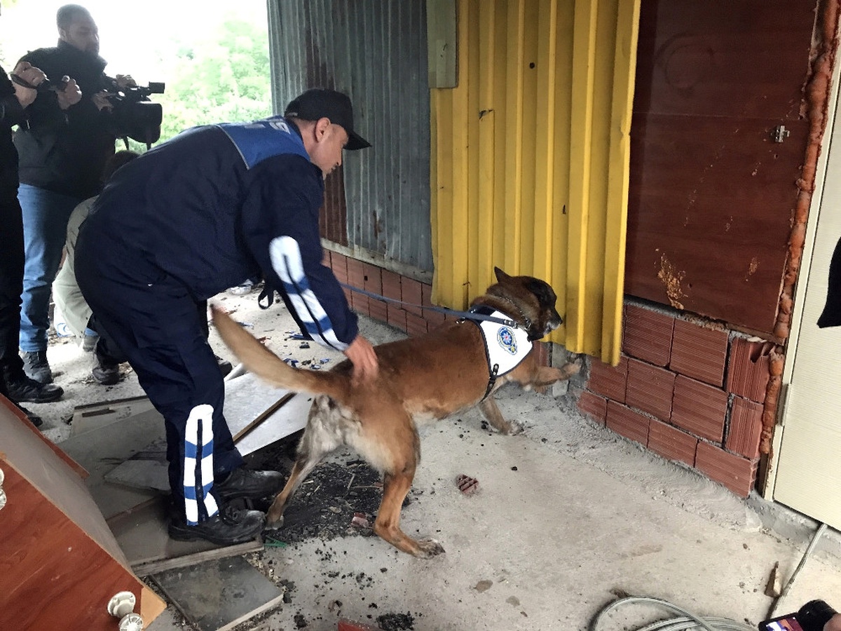 Zehir Tacirlerine Nefes Kesen Şafak Operasyonu