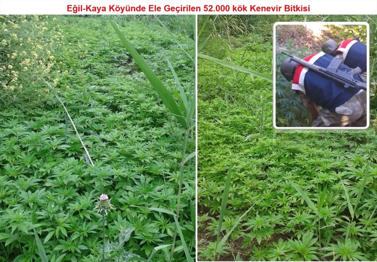 Diyarbakır\'da Narkoterör Operasyonu