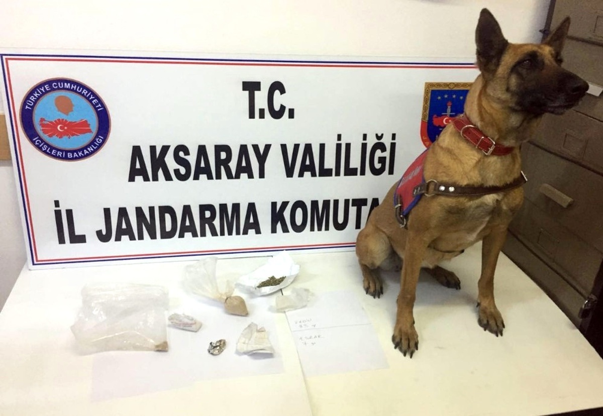 Esrar ve Eroini İç Çamaşırlarına Saklamışlar