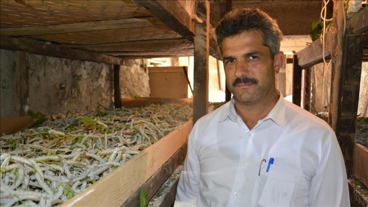 İpek Böcekleri Köylülere \'Ek Gelir\' Dokuyor
