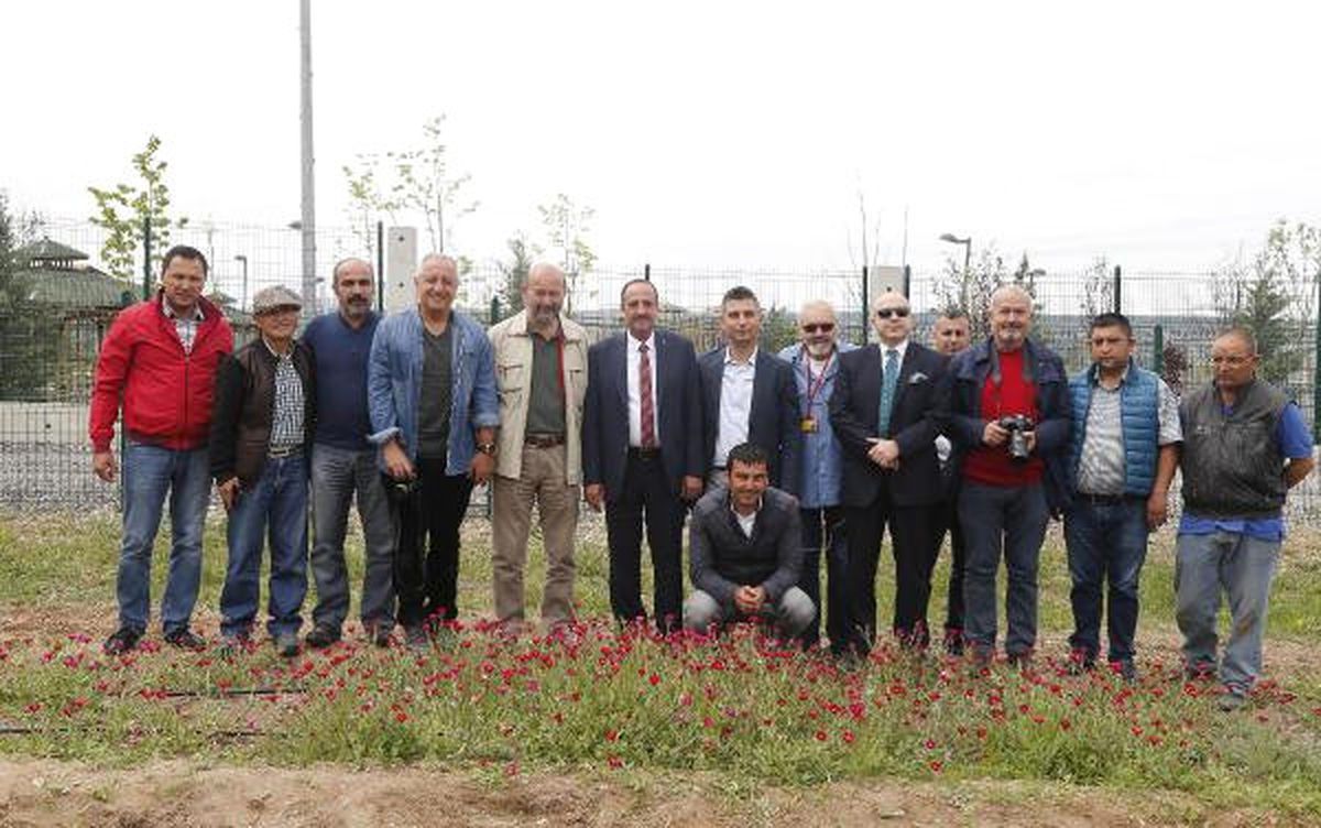 Nesli Tehlike Altındaki Sevgi Çiçeği\'ne Özel Koruma