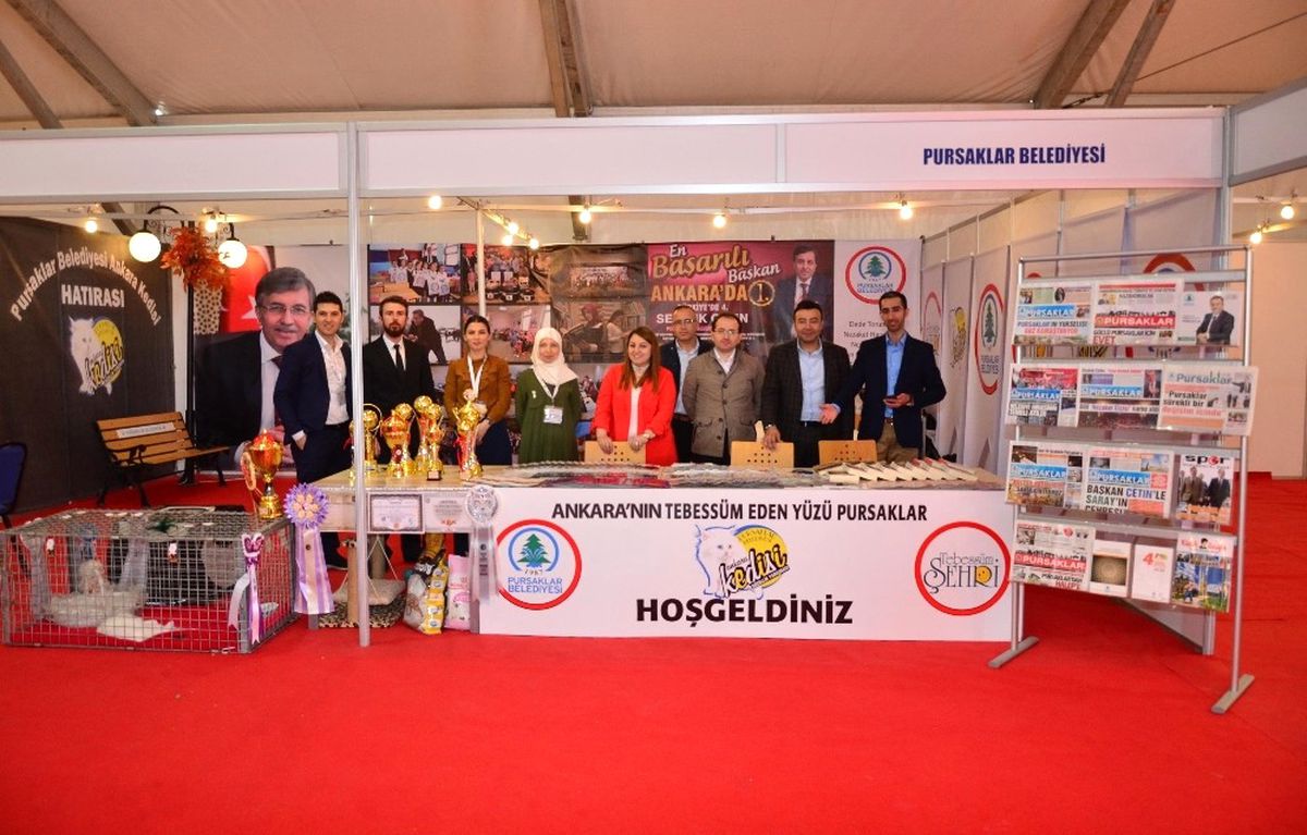 Pursaklar\'ın Ankara Kedileri Akm\'de İlgi Odağı Oldu