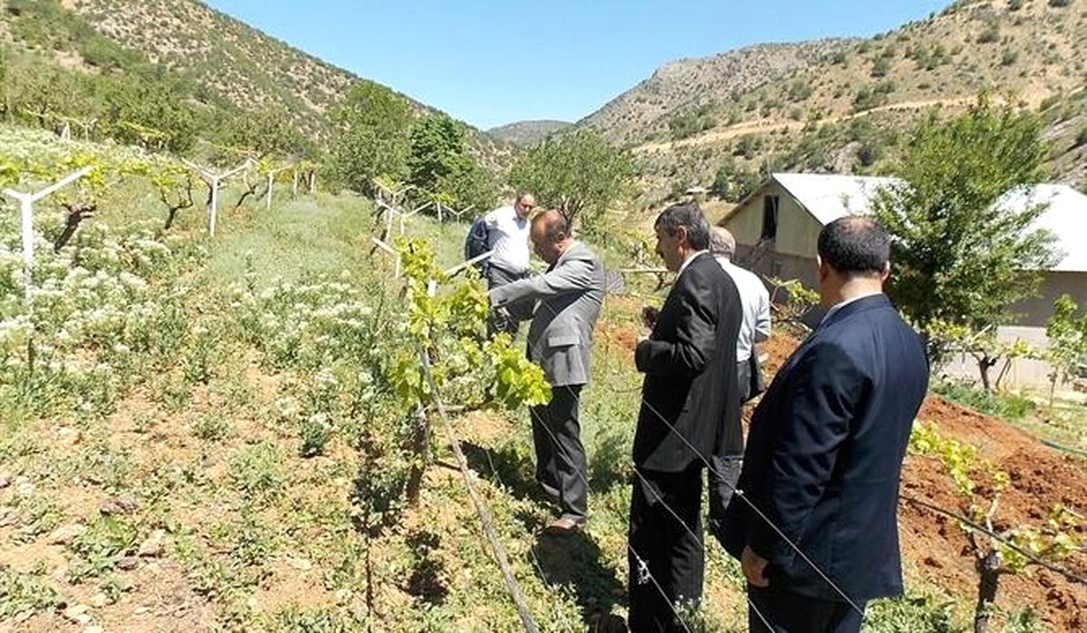 Bu Yıl 960 Bin Dekar Alana Hububat Ekildi