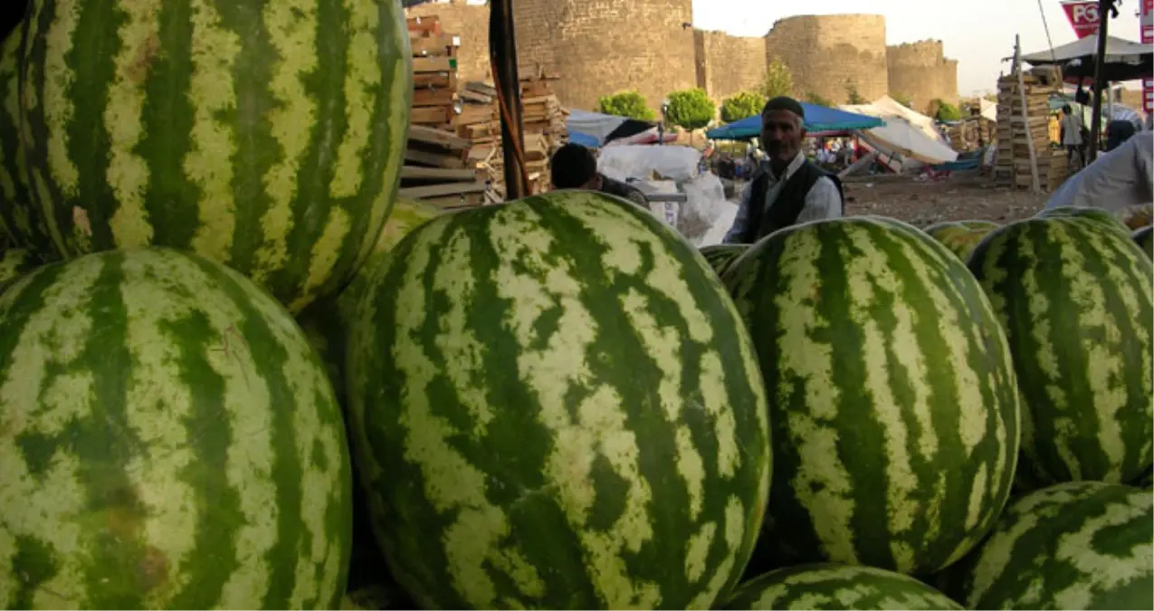 Diyarbakır Karpuzu Aslında Meksika\'dan GDO\'lu Çekirdeklerden Üretiliyormuş