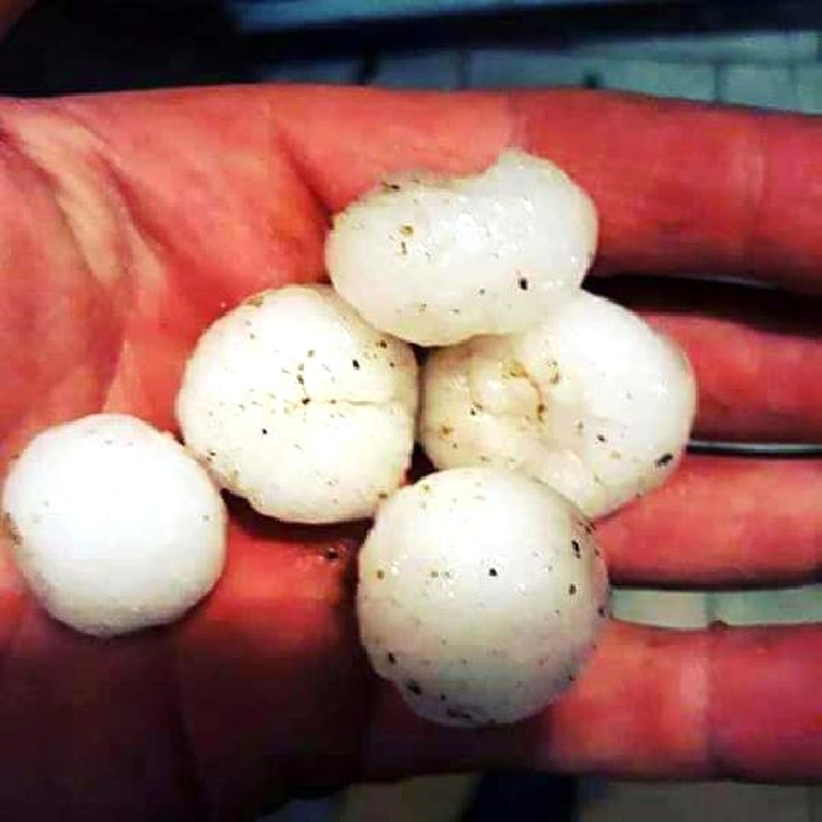 Elazığ\'da Dolu, Bingöl\'de Fırtına, Hayatı Olumsuz Etkiledi
