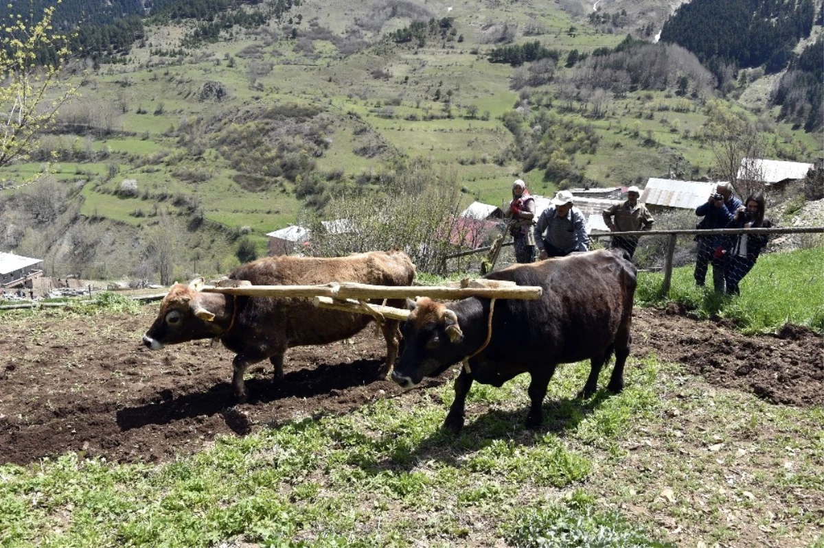 Karasabandan Vazgeçmiyorlar