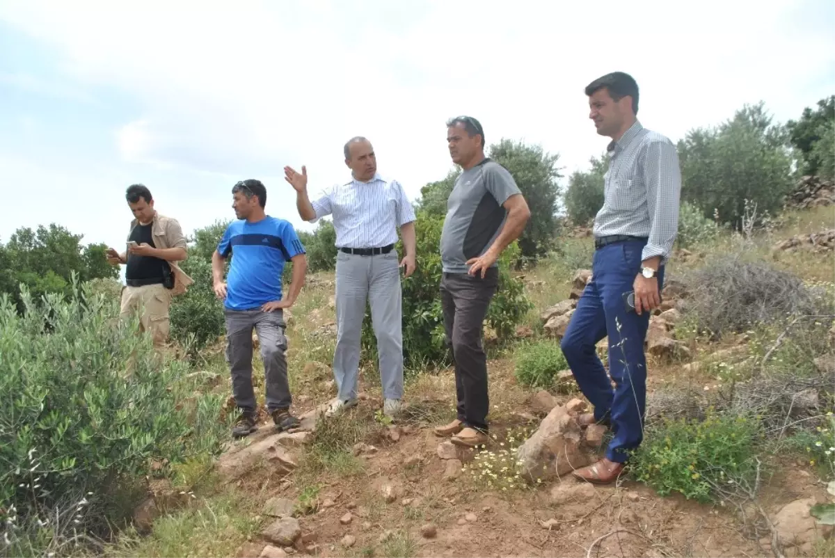 Kaymakam Erkayıran, Yamaç Paraşütü İçin Yer Tespiti Yaptı