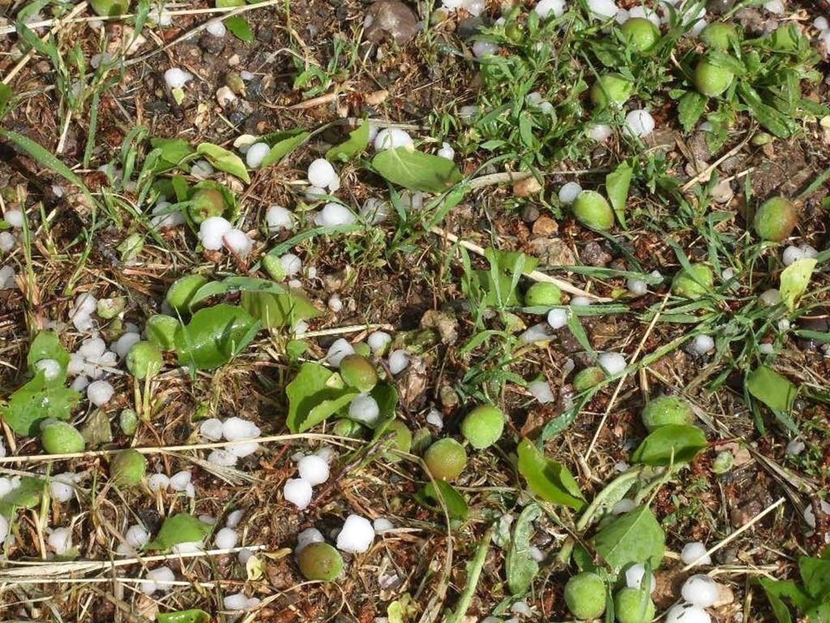 Malatya\'da Dolu Yağışı