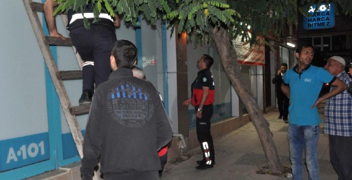 Yavru Kedi Sıkıştığı Yerden 5 Saat Sonra Kurtarıldı