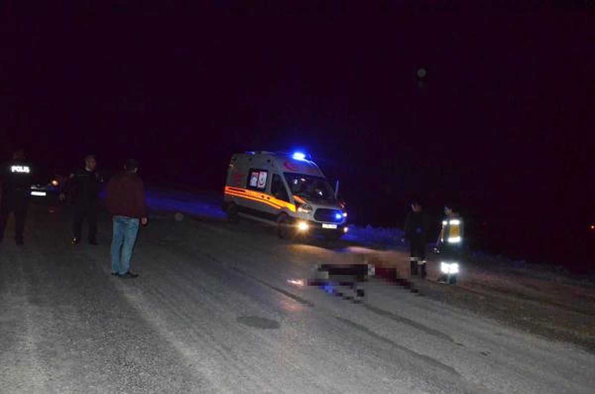 Yol Kenarında Boğazı Kesilmiş Erkek Cesedi Bulundu