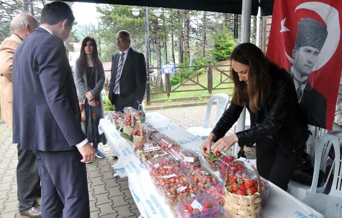 Ereğli\'de \'En Güzel Osmanlı Çileği\' Yarışması