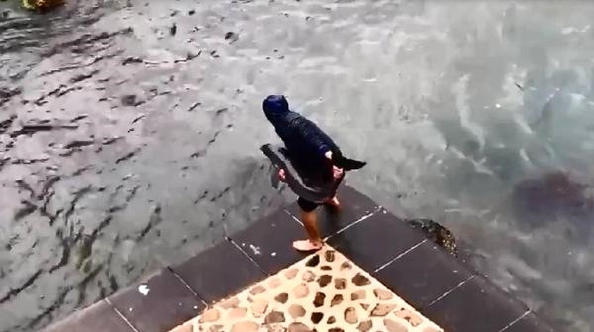 Kayalıklara Sıkışan Yavru Yunusu Balıkçılar Kurtardı