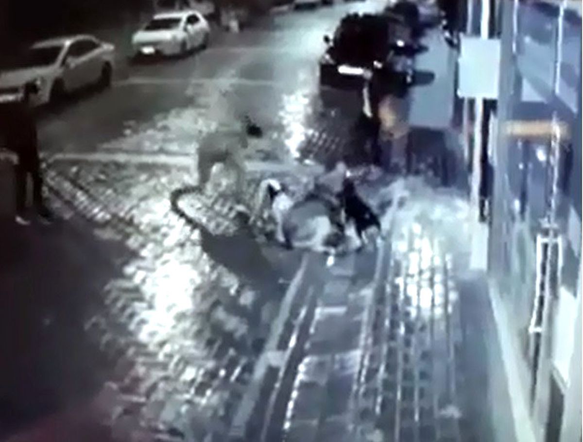 Manisa\'da Sokak Köpeğine İşkence
