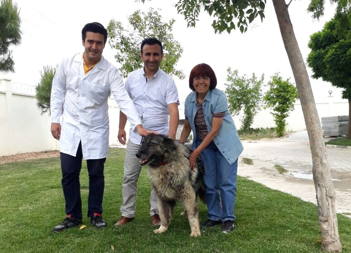 Masum\' Artık Emin Ellerde