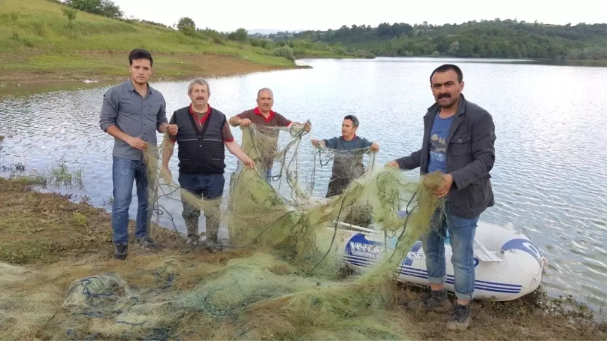 Ağlara Takılan Canlıları Ekipler Kurtardı