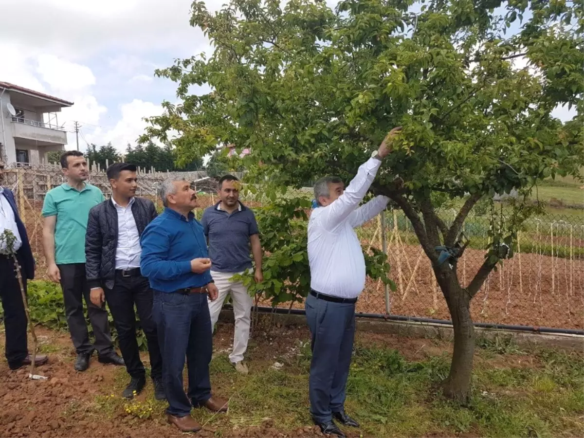 Başkan Baran Körfez\'in Köylerini Ziyaret Etti