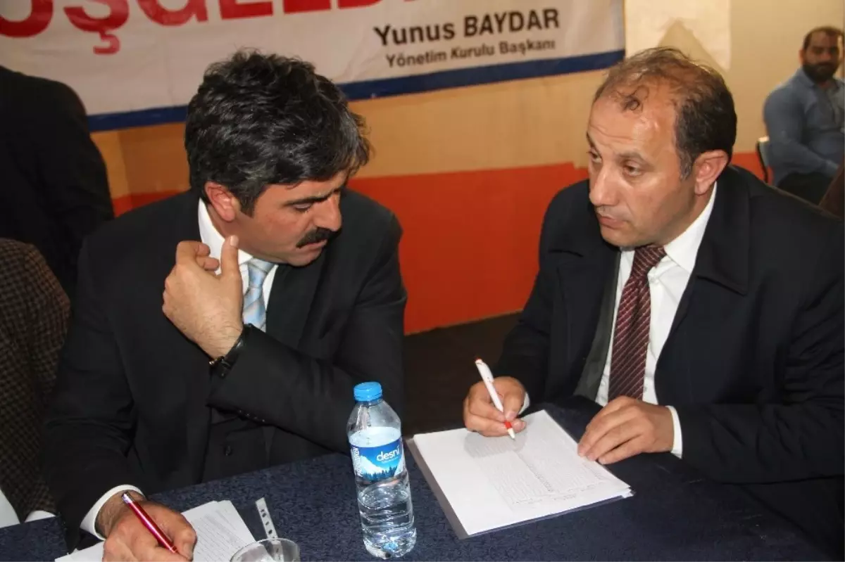 Baydar, Güven Tazeledi