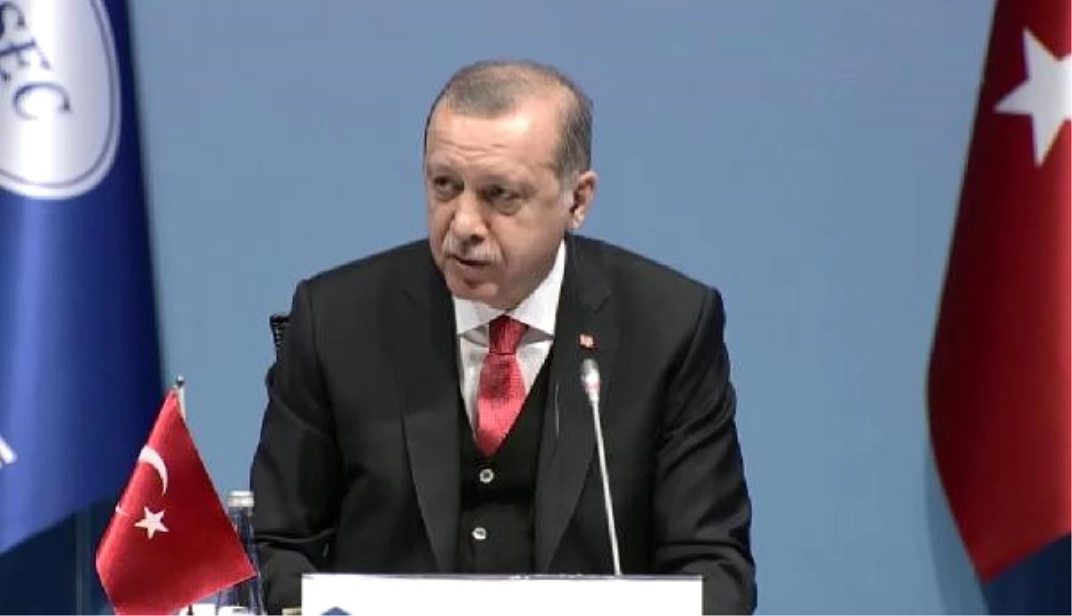 Cumhurbaşkanı Erdoğan, Ermenistan Temsilcisinin Konuşmasını Eleştirdi