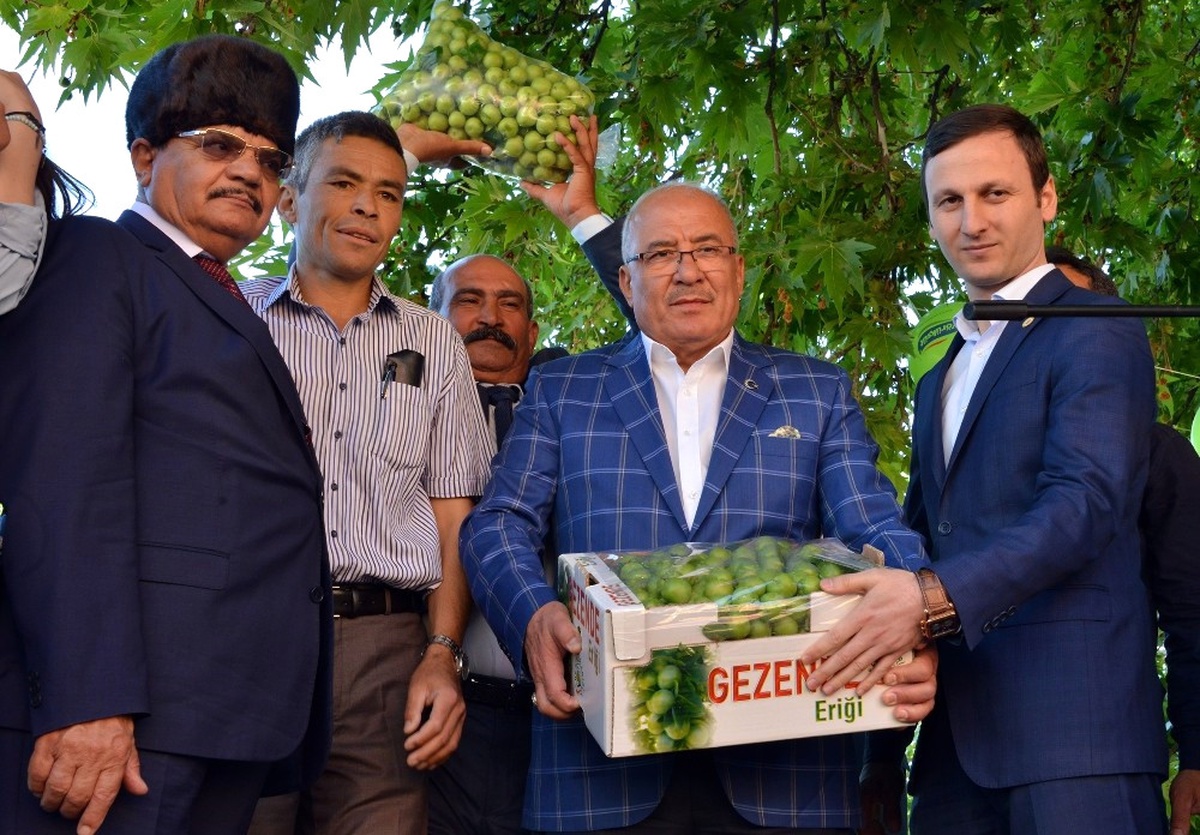 Gezende\'de Erik Festivali Coşkusu