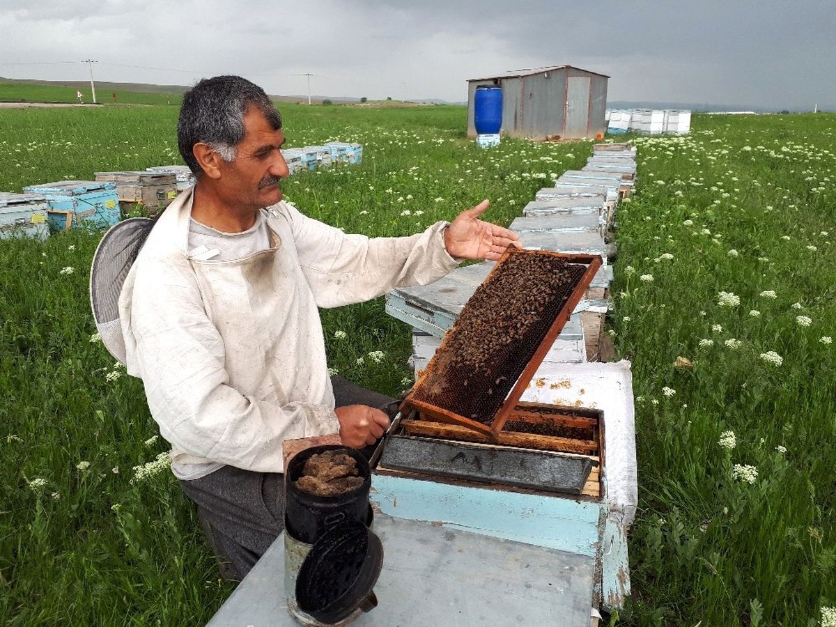 Gezgin Arıcılar Muş\'a Gelmeye Başladı