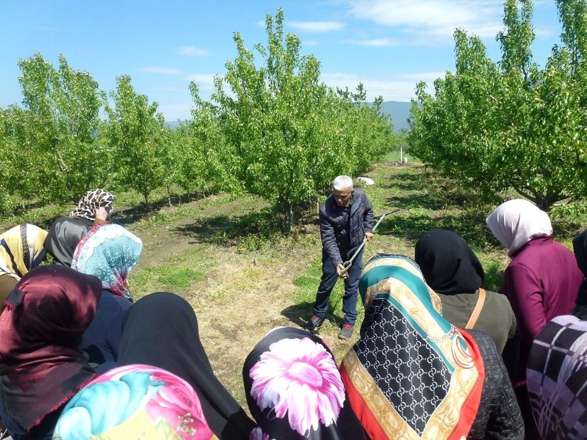 Gürsu\'da "Altın Makaslı Kadınlar" Yetişiyor