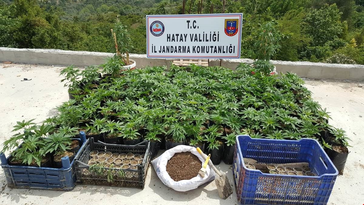 Hatay\'da Kaçakçılık ve Uyuşturucu Operasyonları