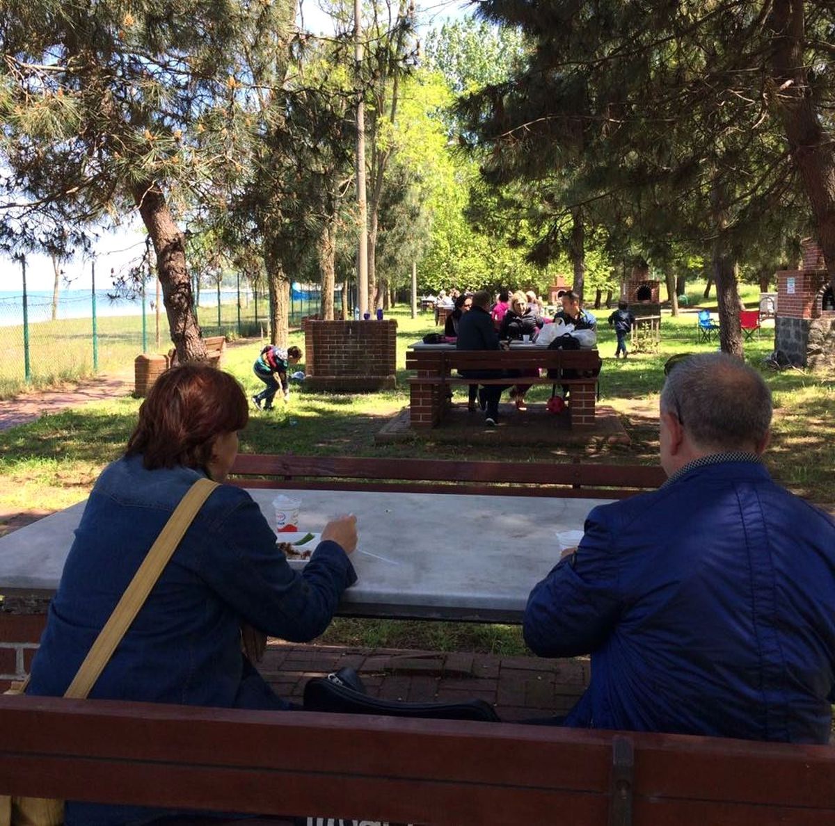 Ordu\'da Artvinliler Piknikte Buluştu