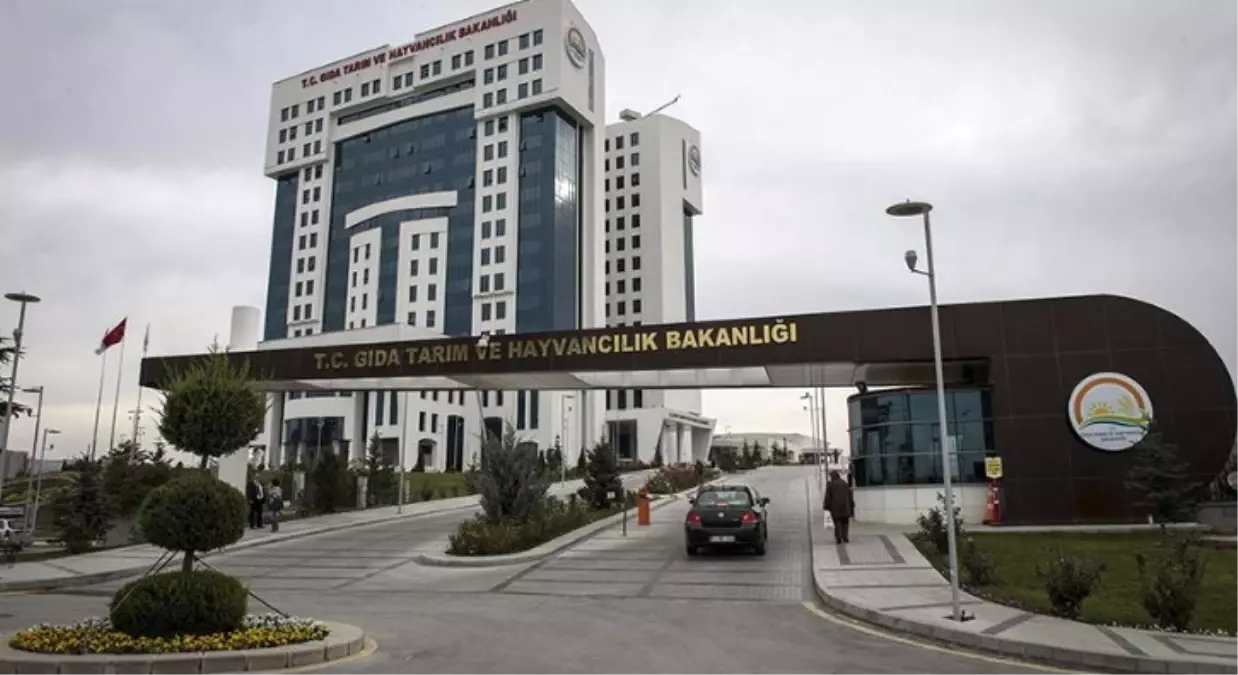 Gıda, Tarım ve Hayvancılık Bakanlığı 2 Bin 500 Personel Alacak