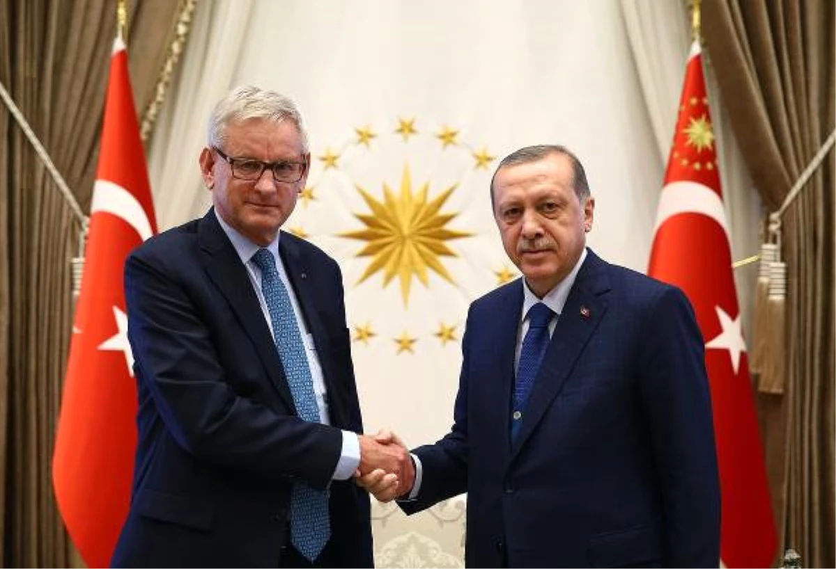 Cumhurbaşkanı Erdoğan Carl Bildt\'i Kabul Etti