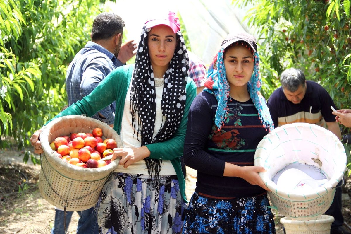 Gece 03.30\'da Yola Düşüyorlar: Çoğu Kadın