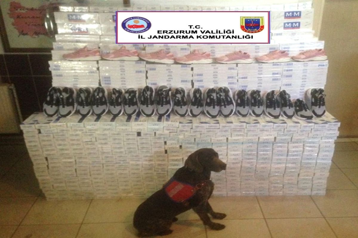 Horasan\'da 54 Bin Paket Kaçak Sigara ile 100 Çift Spor Ayakkabısı Ele Geçirildi
