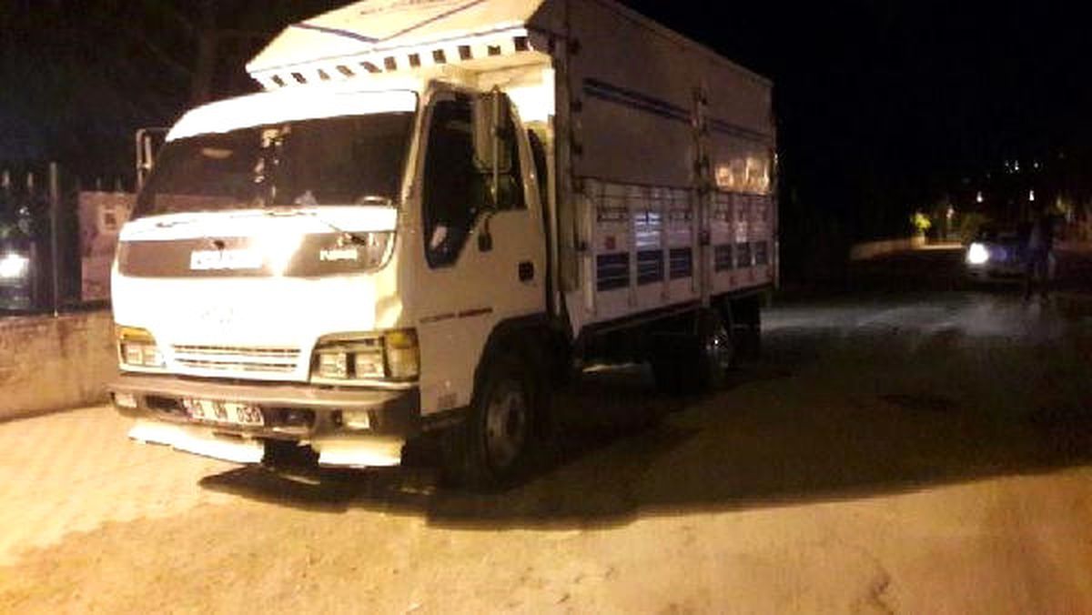 Köpeğini Evinin Bahçesine Sokmaya Çalışırken Kamyon Çarpıp Öldü