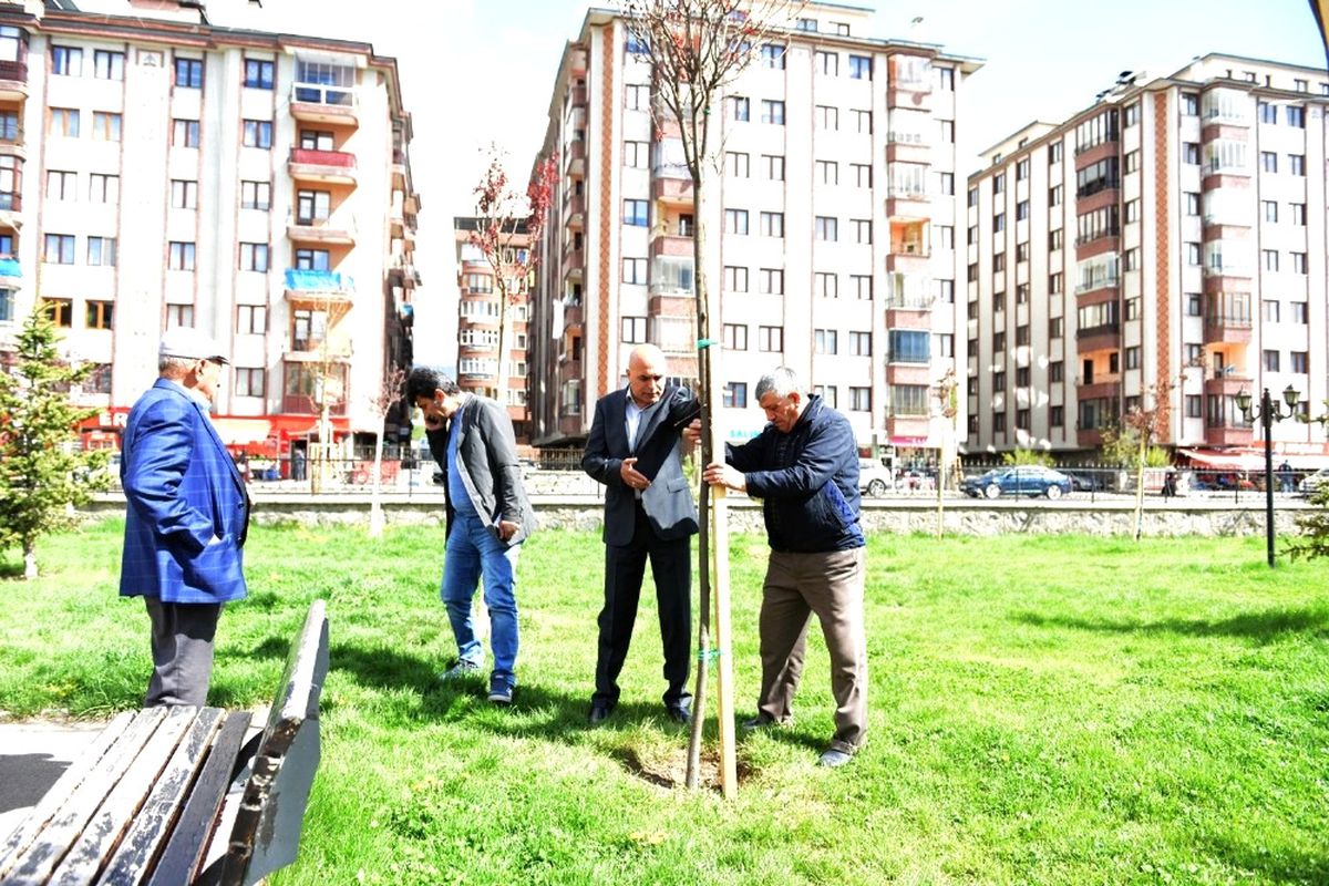 Korkut, Çocukların İlgi Odağında
