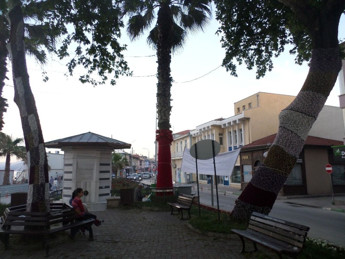Mudanya\'da Ağaçlar Rengarenk