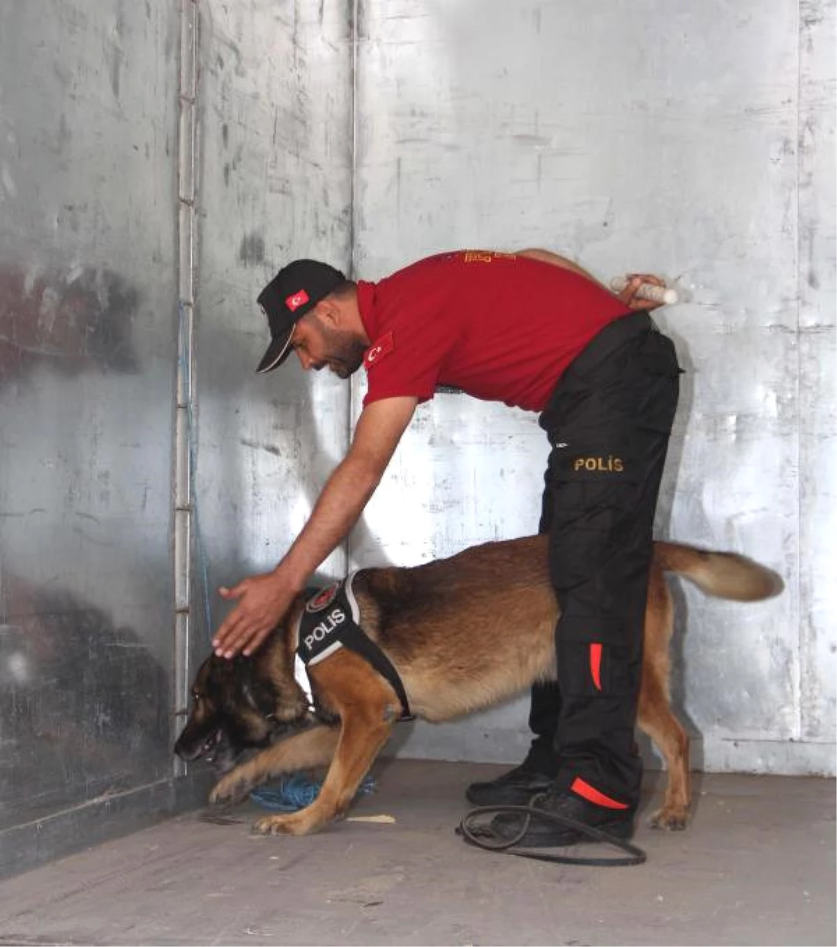 Polis, Eğiteceği Köpeği Doğumda Seçiyor