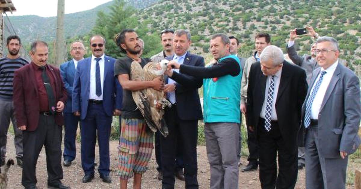 Tedavileri Yapılan Kızıl Akbaba ve Çakal Doğaya Bırakıldı