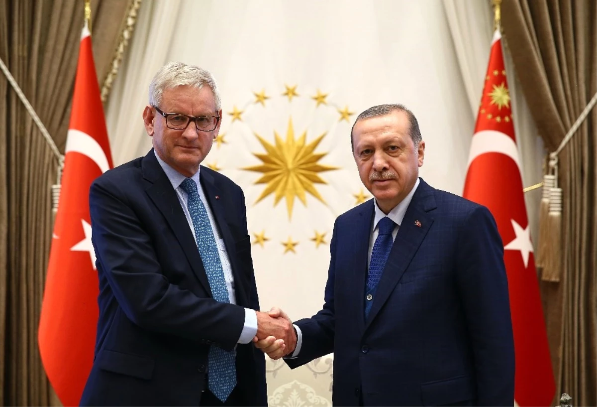 Cumhurbaşkanı Erdoğan, Carl Bildt\'i Kabul Etti