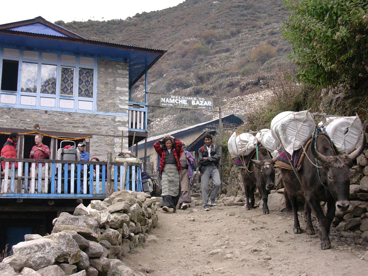 Himalaya Şerpa Yerlileri Oksijen Yetersizliği Yaşayanlara Model Olabilir