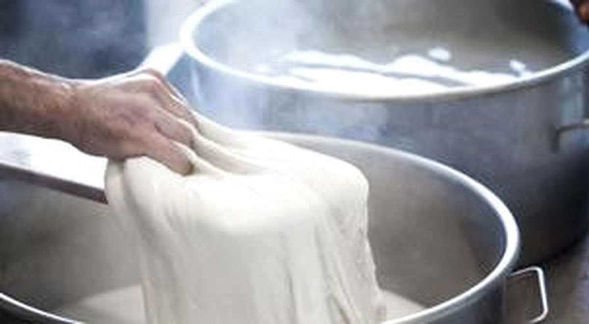 Mozzarella ve Taze İtalyan Peynirleri