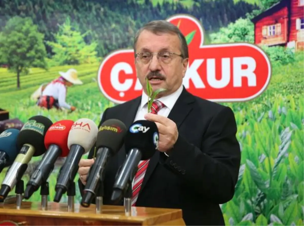 Sütlüoğlu: Yaş Çay Taban Fiyatı Cuma Günü Açıklanacak