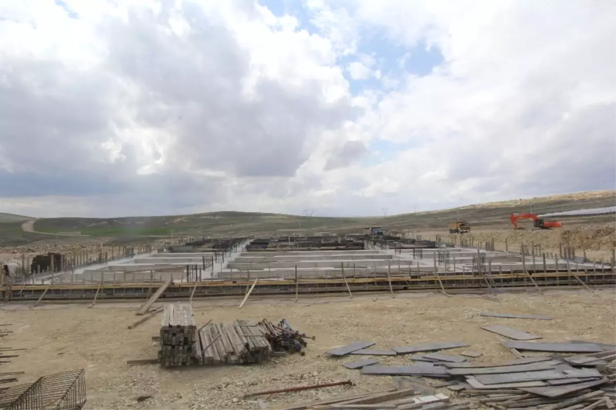 Yeni Hayvan Satış Pazarı ve Mezbahanenin Yapımına Başlandı