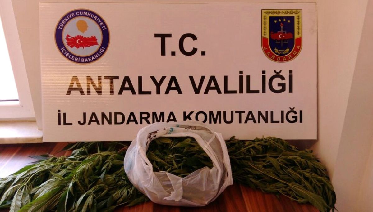 Alanya\'da Uyuşturucu Operasyonu