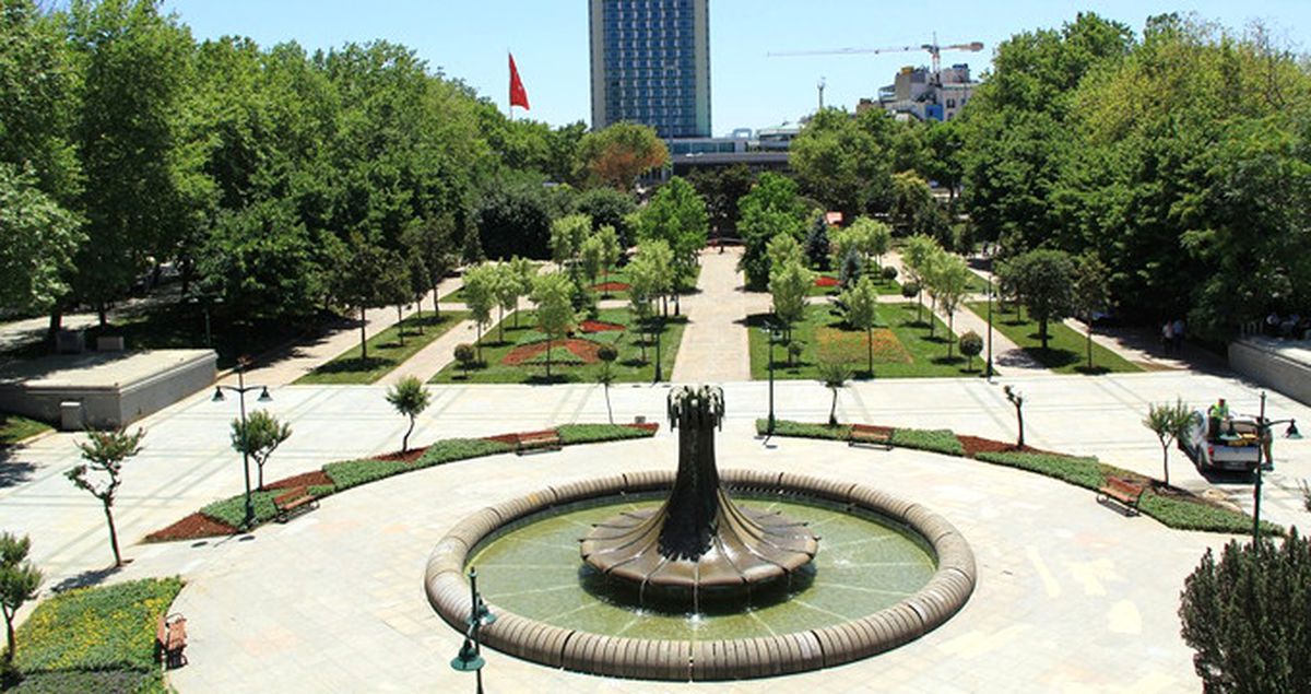 Taksim Gezi Parkı\'ndaki Köpekler İğneyle Bayıltılarak Toplandı