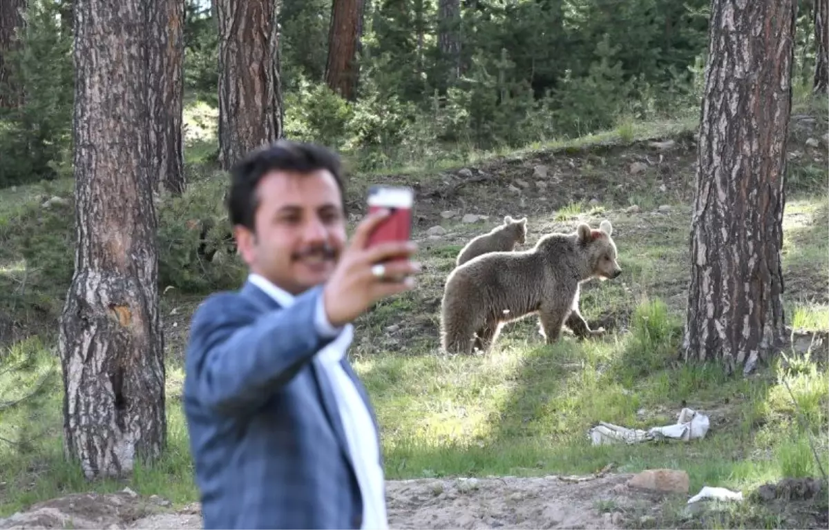 Kars\'ta Vatandaşlar Boz Ayılarla Selfie Çekti