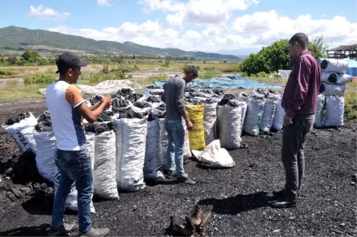 Kömürcü Kardeşlerin Ekmek Kavgası