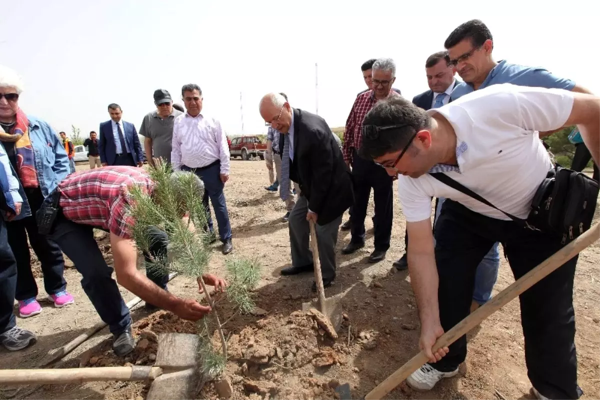 Yenimahalle Belediyesi\'nden Sivaslılara Hatıra Ormanı