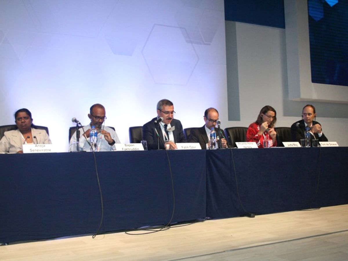 2017 Afet Risk Azaltma Küresel Platformu"