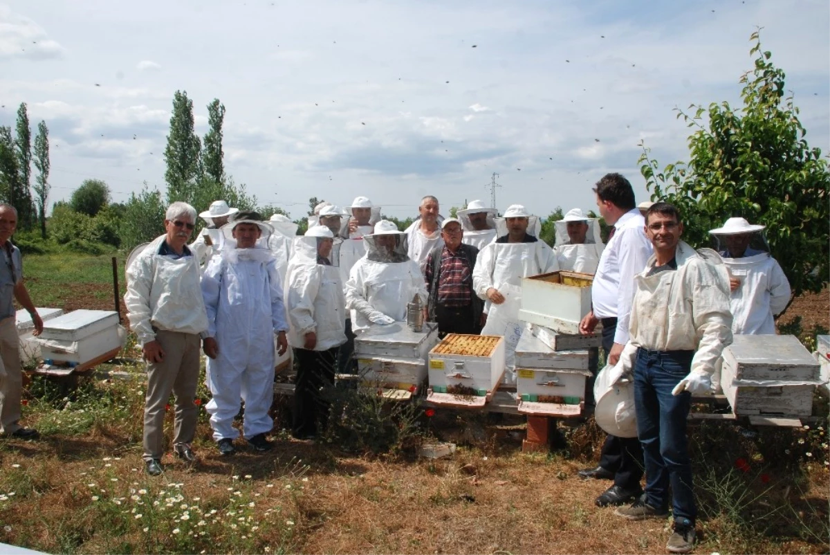 Bayramiç\'te Ana Arı Üretim Kursu Açıldı
